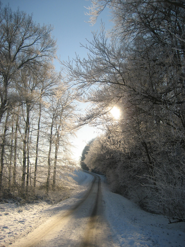 Schnee in Darup