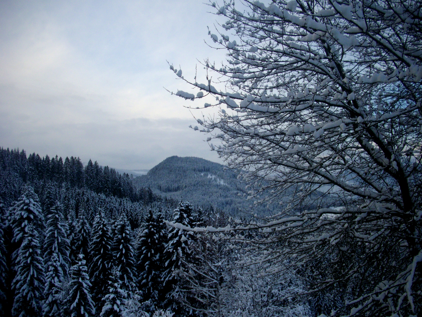 Schnee in den Bergen