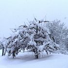 Schnee in den Bergen bei Murazzano