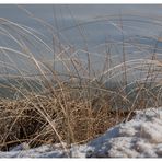 Schnee in den Dühnen