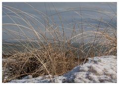 Schnee in den Dühnen