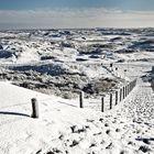 Schnee in den Dünen bei Zandvoort