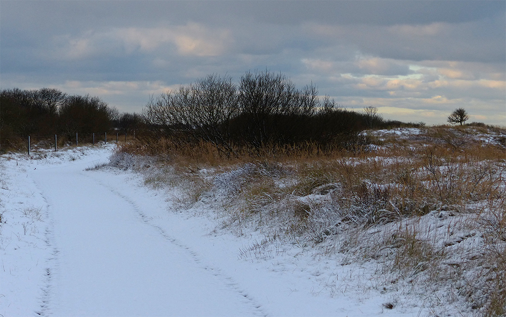 Schnee in den Dünen