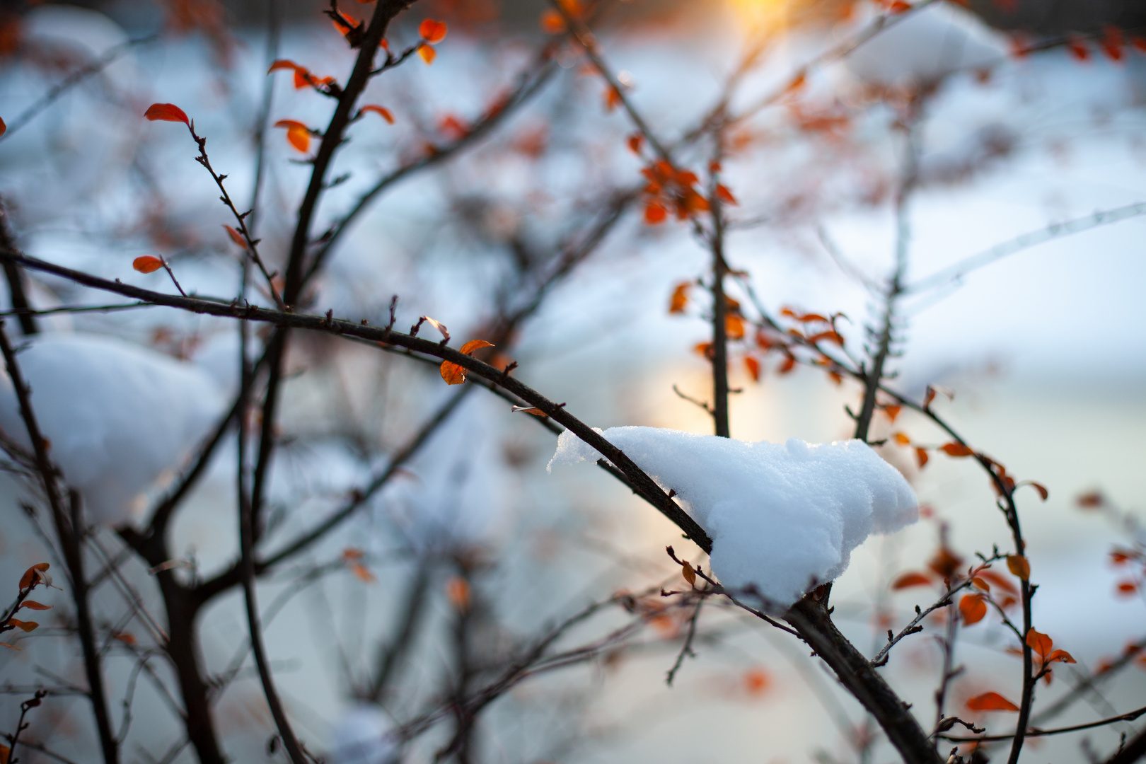 Schnee in der Abendsonne