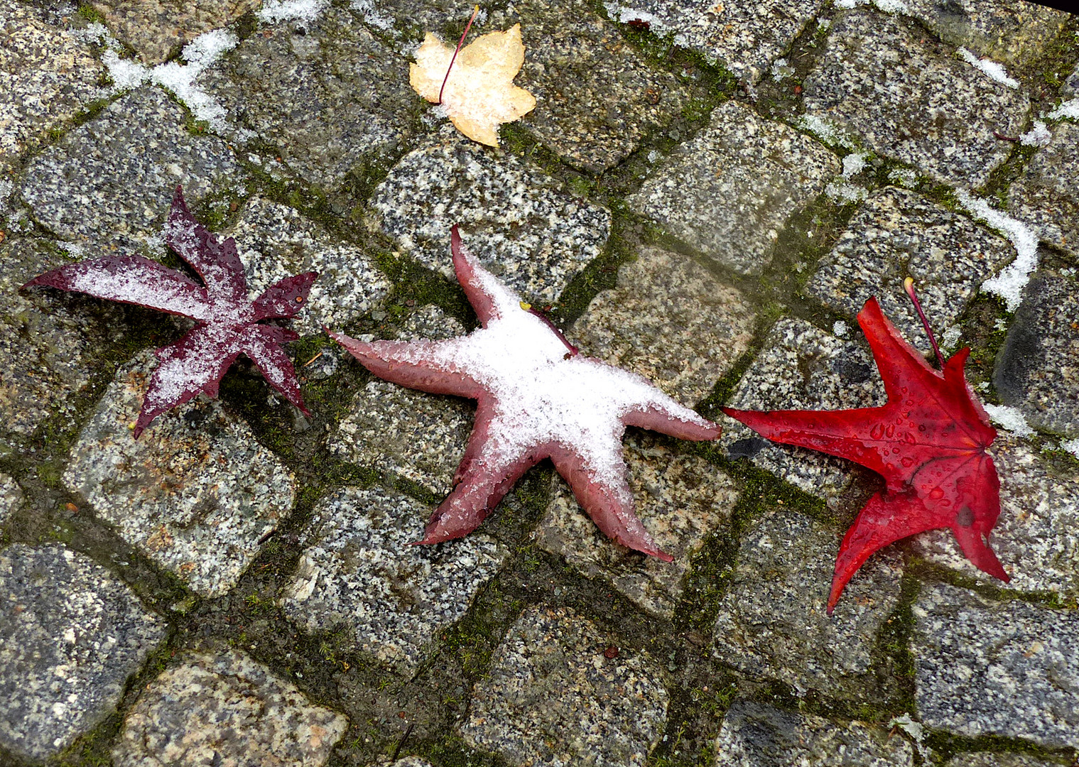 Schnee in der alten Hansestadt Salzwedel 