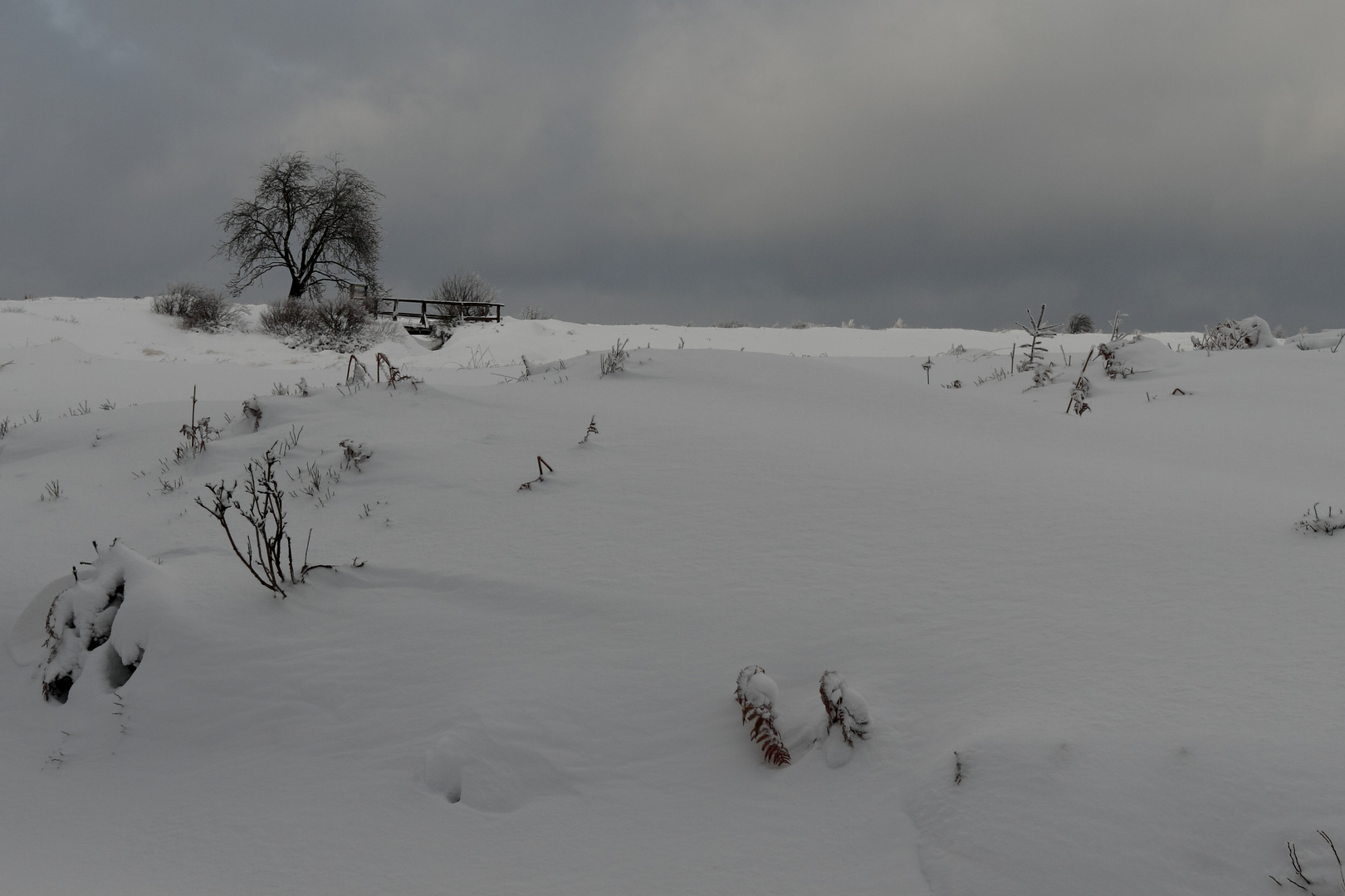 Schnee in der Eifel