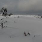 Schnee in der Eifel