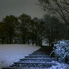 Schnee in der Nacht