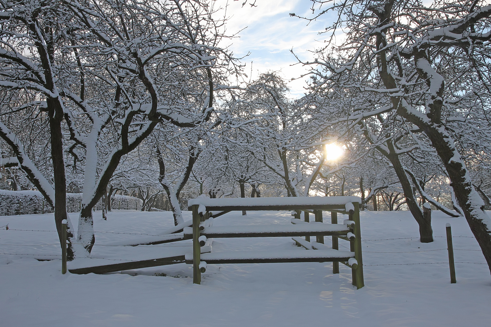 Schnee in der Obstwiese