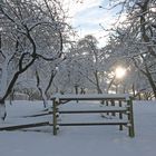 Schnee in der Obstwiese