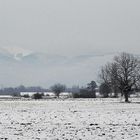 Schnee in der Rheinebene