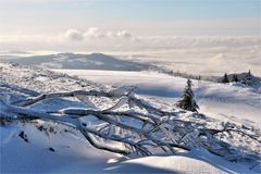 Schnee in der Rhön