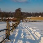 Schnee in der Ried