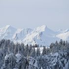 Schnee in der Schweiz