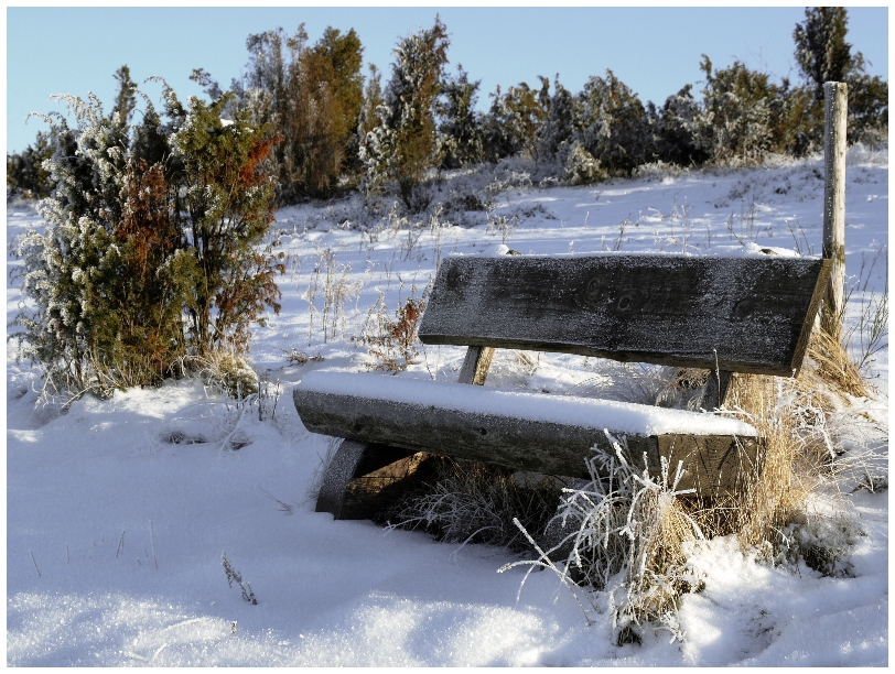 Schnee in der Wacholderheide