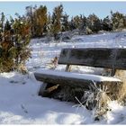 Schnee in der Wacholderheide