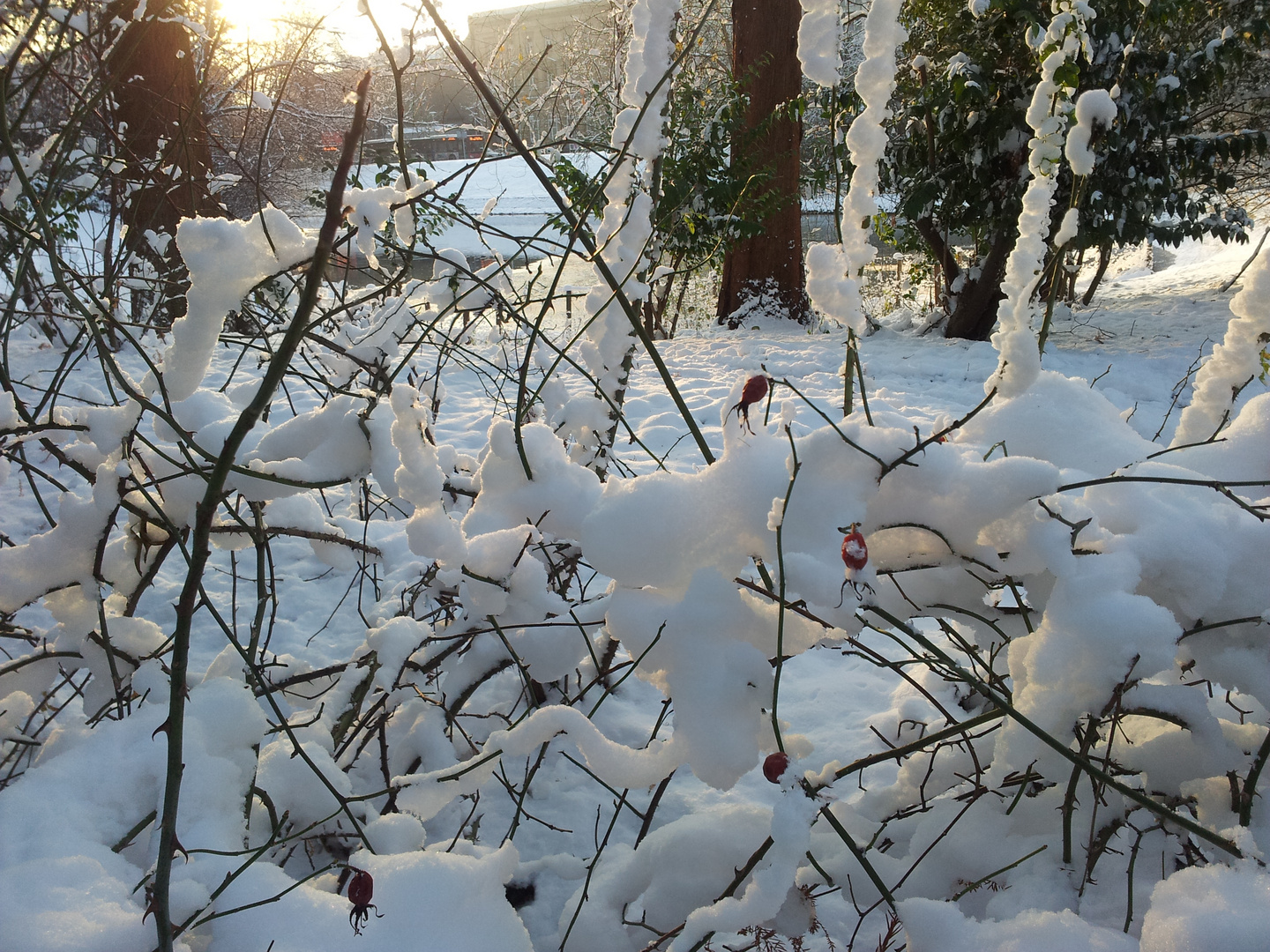 Schnee in Düsseldorf :-))