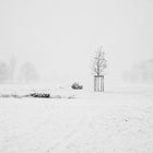 Schnee in Düsseldorf