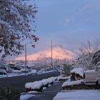 Schnee in Elpaso Texas