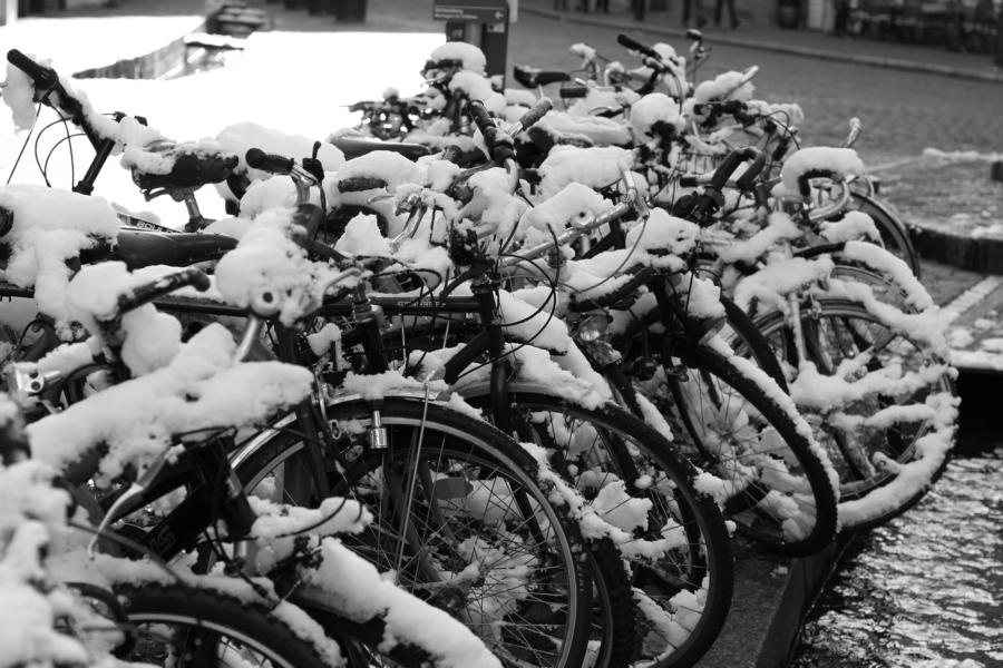 Schnee in Freiburg