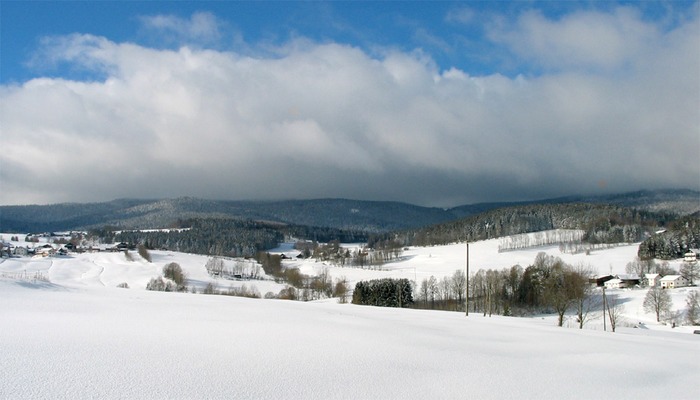 Schnee in Fülle