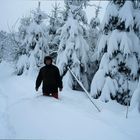 Schnee in Hülle und Fülle...