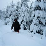 Schnee in Hülle und Fülle...