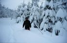 Schnee in Hülle und Fülle... von Kosche Günther 