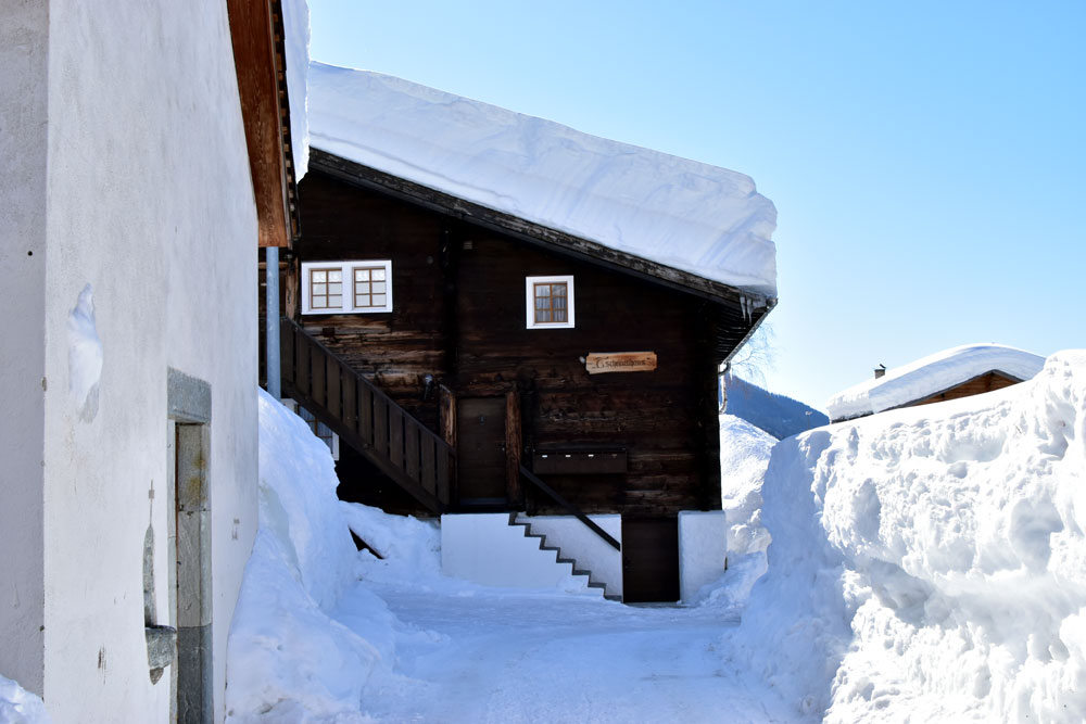 Schnee in Hülle und Fülle