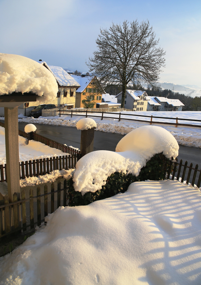 Schnee in Hülle und Fülle