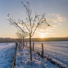 Schnee in HVL