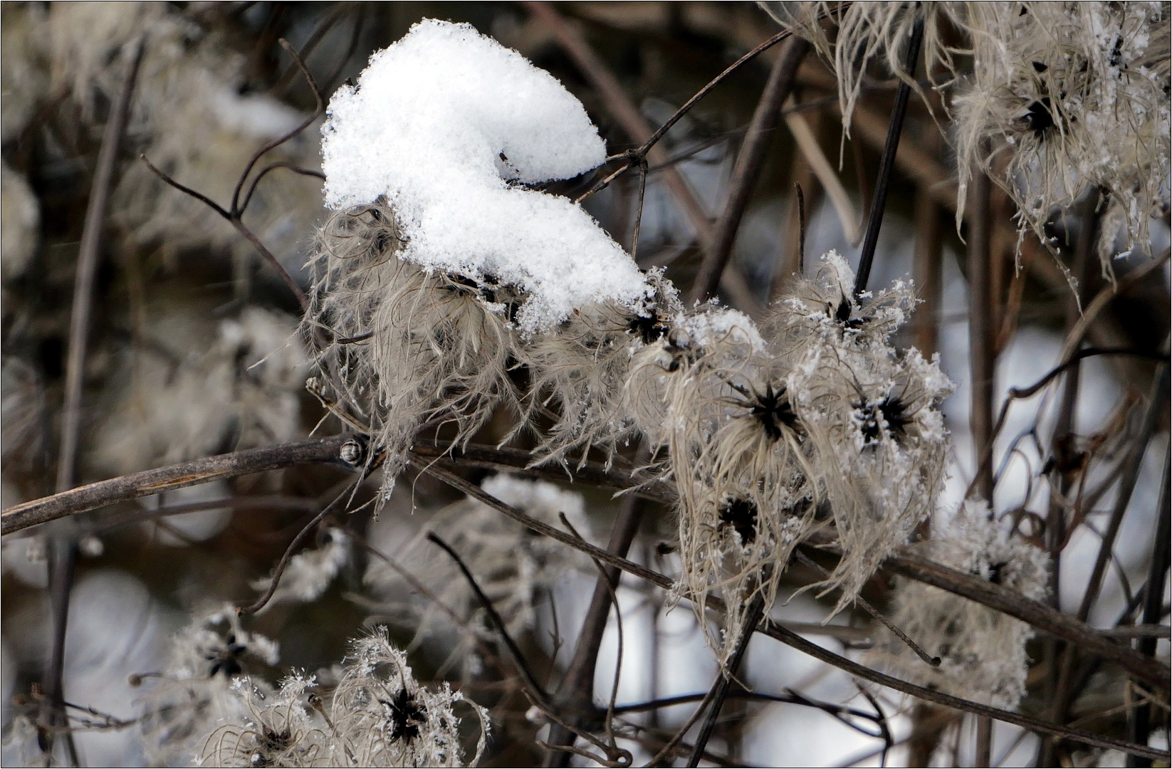 Schnee in Katzenberg