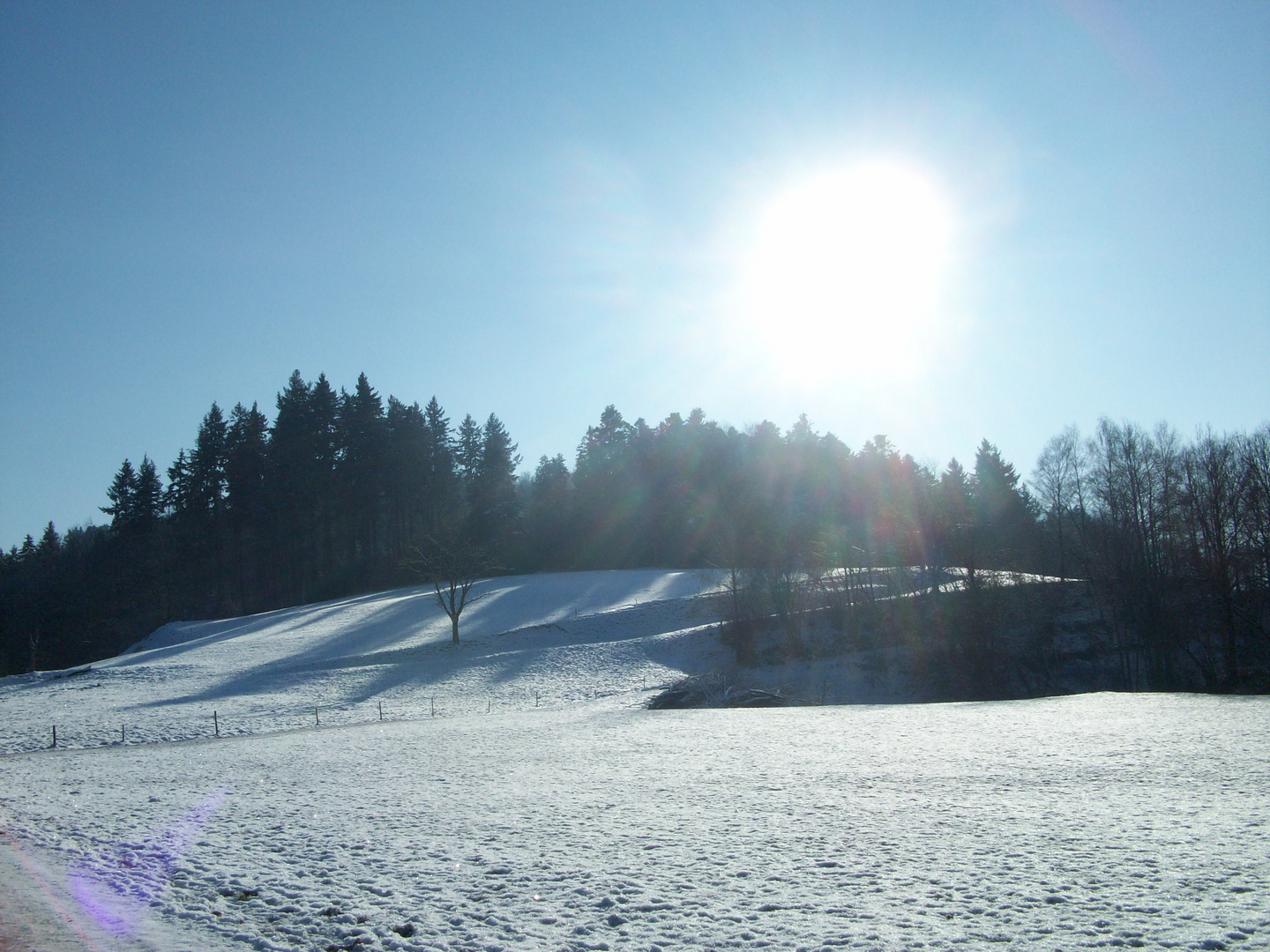 schnee in kirchzarten