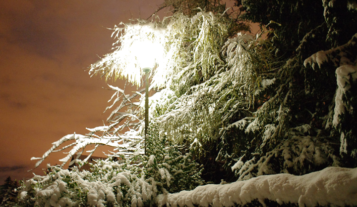 Schnee in Köln