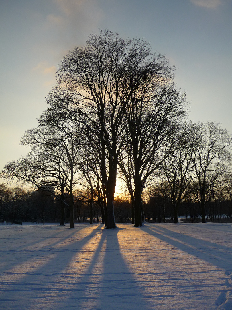 Schnee in Köln