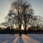 Schnee in Köln