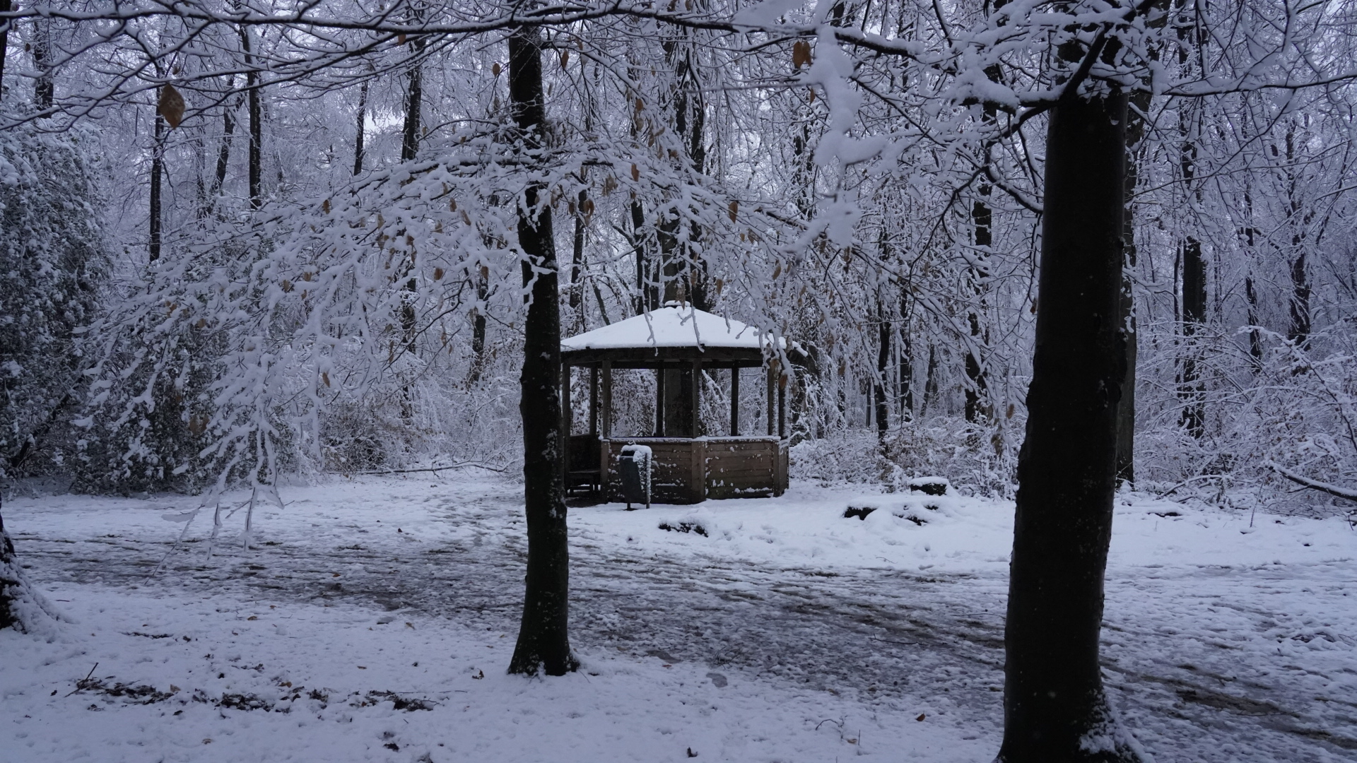 Schnee in Köln