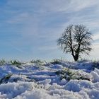 Schnee in Leichlingen - eine Seltenheit ...