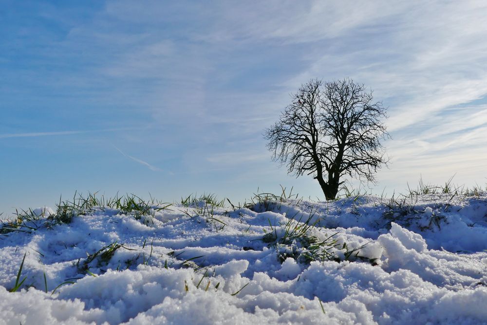 Schnee in Leichlingen - eine Seltenheit ...