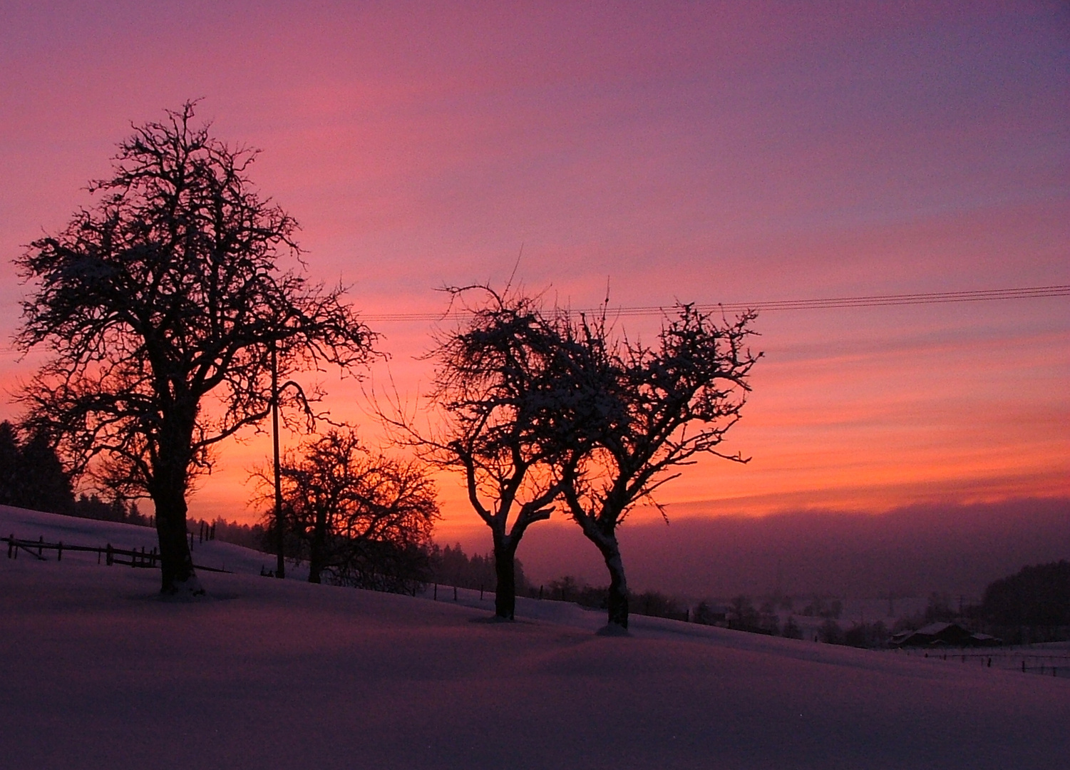 Schnee in Lindenberg