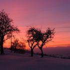 Schnee in Lindenberg