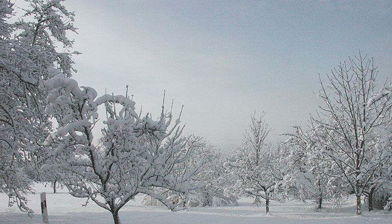 Schnee in Massen