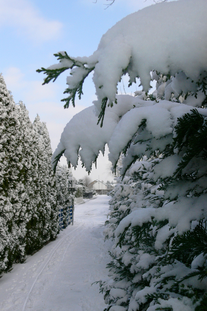 Schnee in Massen, Schnee in Maßen