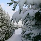 Schnee in Massen, Schnee in Maßen