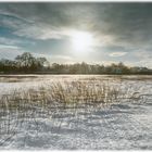 Schnee in München 05