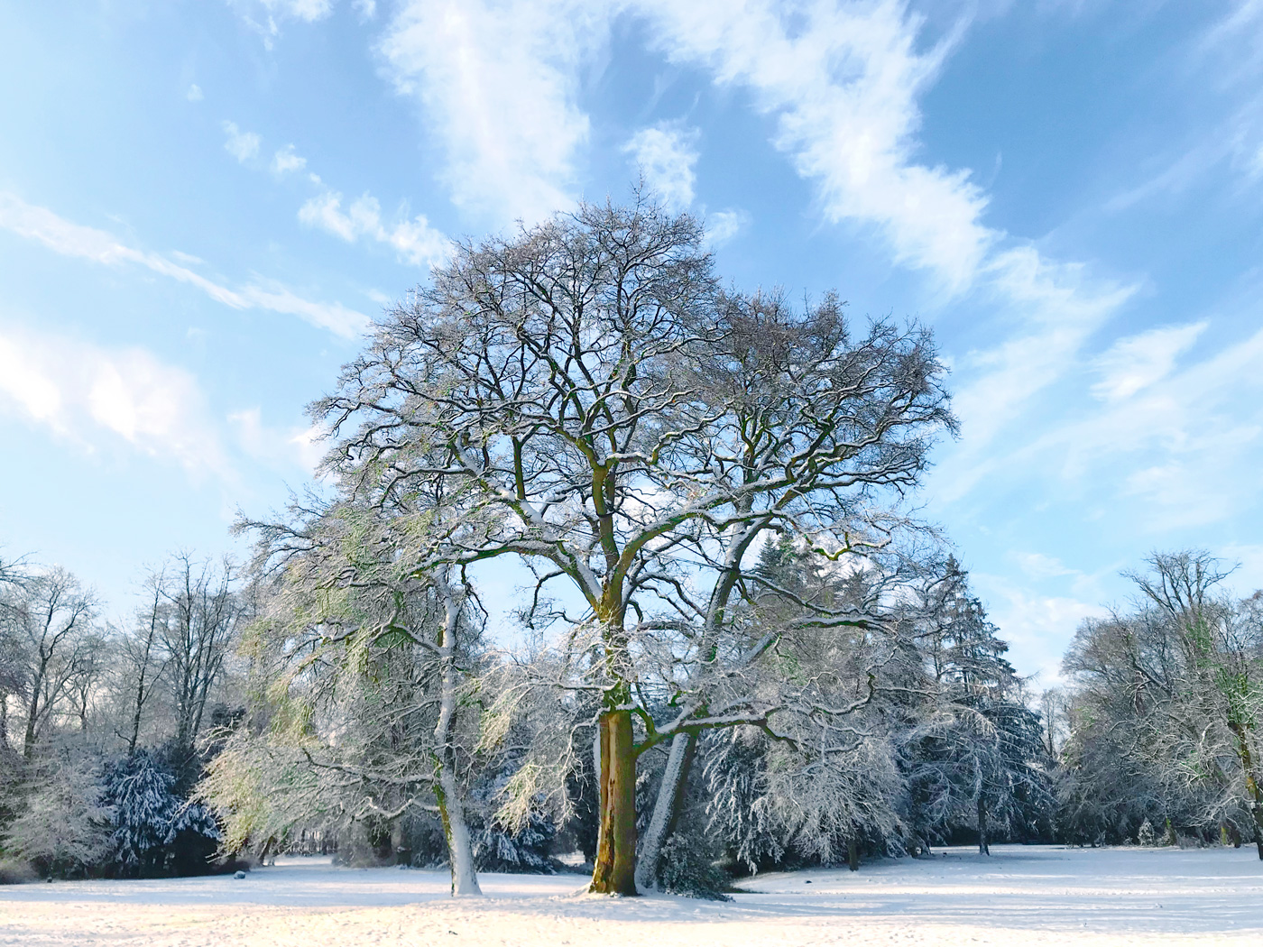 Schnee in Oldenburg