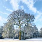 Schnee in Oldenburg