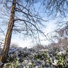 Schnee in Oldenburg