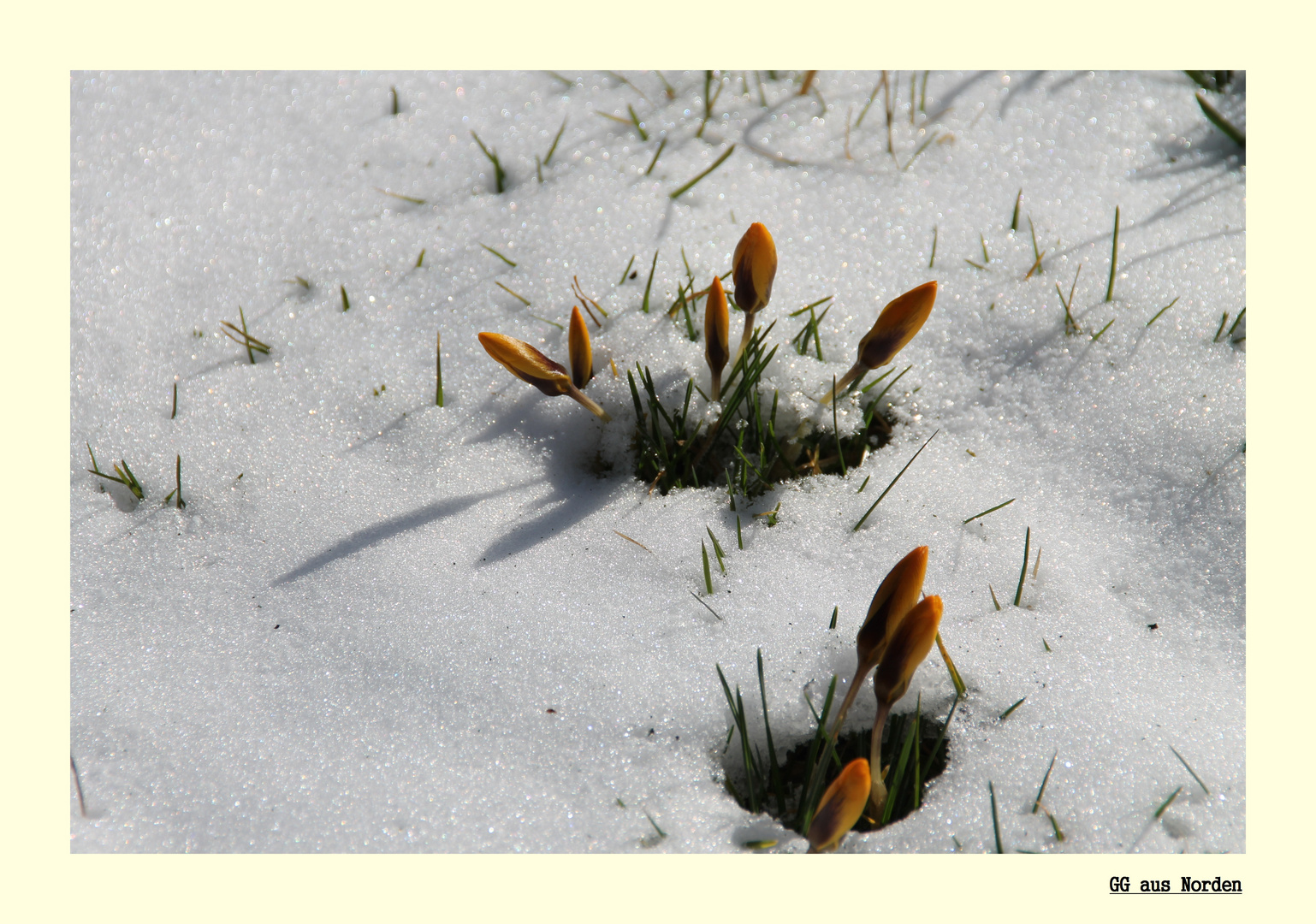 Schnee in Ostfriesland 2