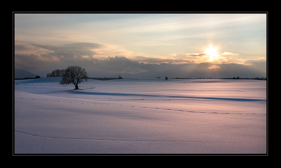 Schnee in Pastell (2)